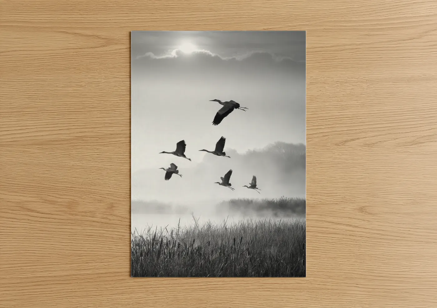 Heron Flock Migration Black White Wall Art