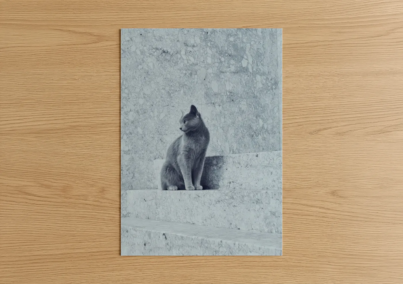 Gray Urban Cat Minimalist Portrait Wall Art