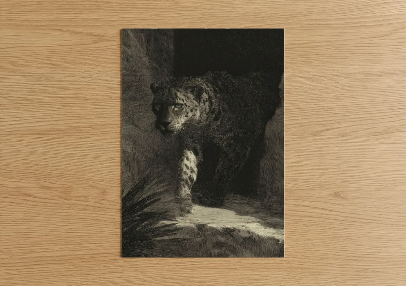 Shadow Leopard Wildlife Fine Art Print Wall Art