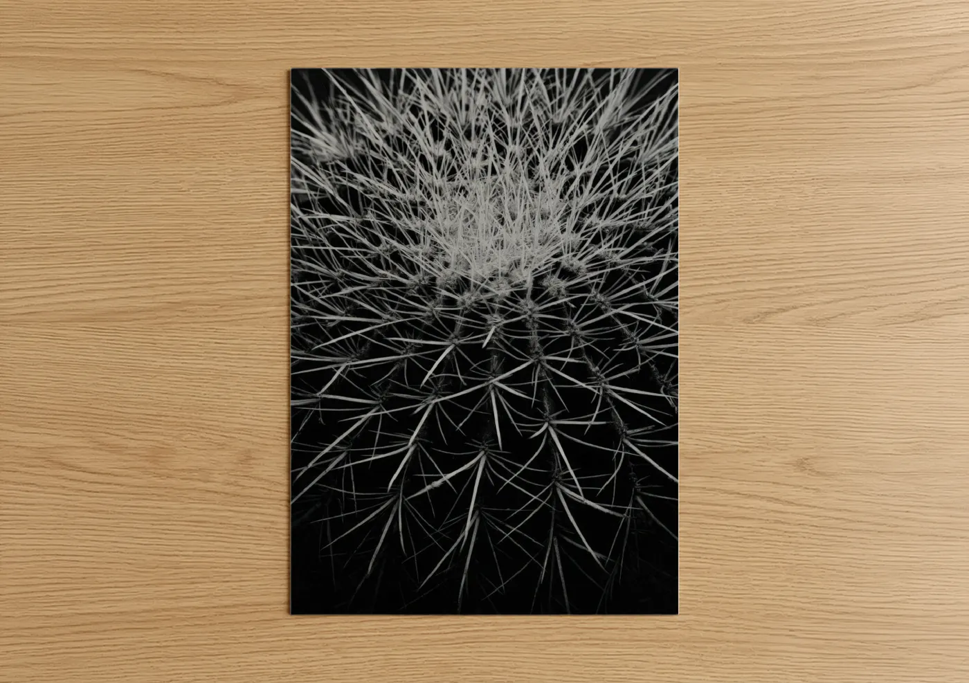 Cactus art print on warm oak wood — black and white palette — Dandelion Silhouette poster