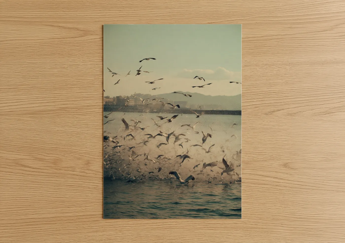 Art print on warm oak wood — gold and gray palette — Coastal Pelican Flock poster