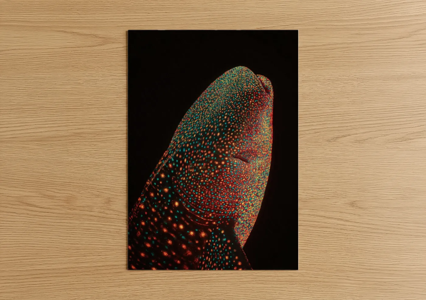 Art print on warm oak wood — red and teal palette — Crimson Whale Shark poster