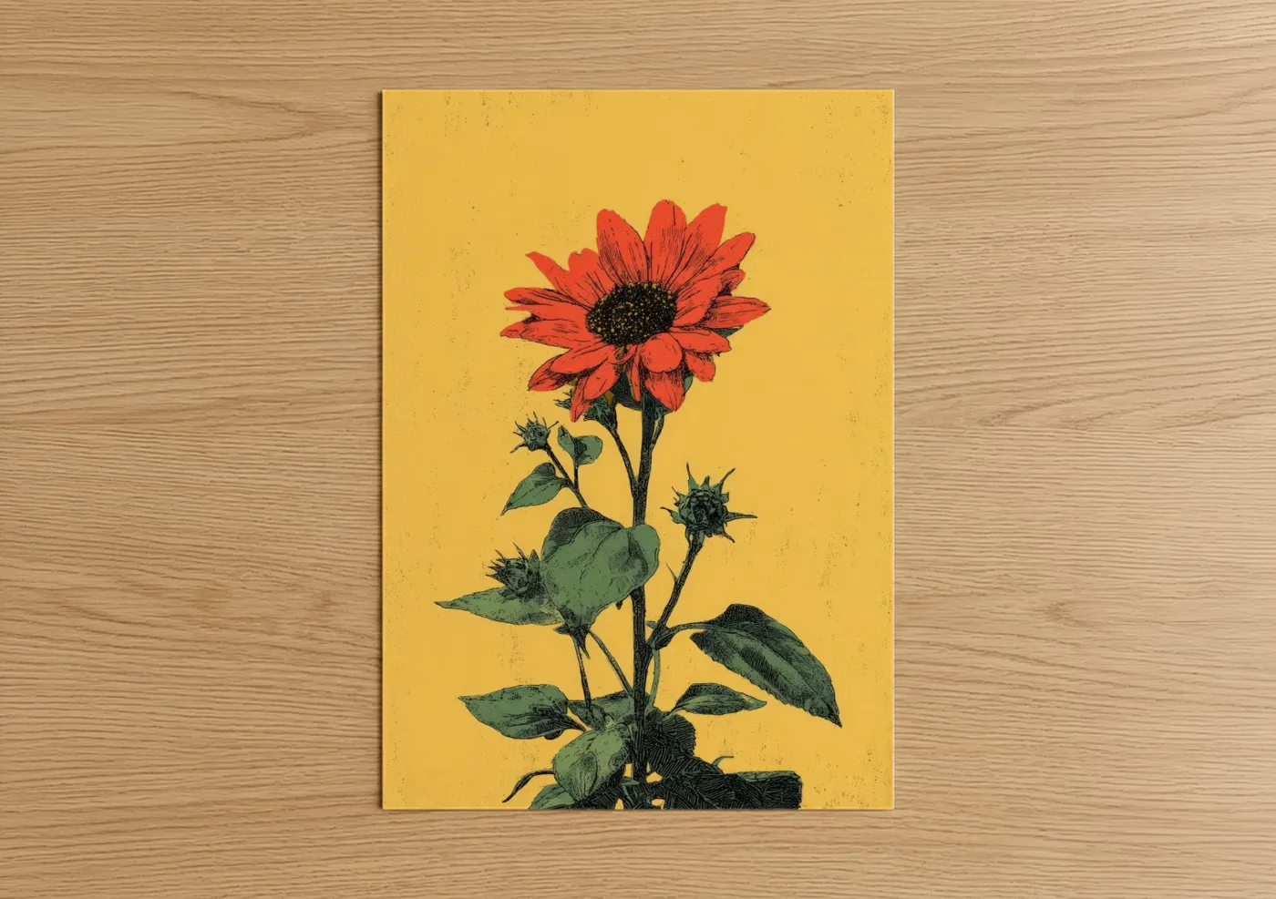 Crimson Sunflower Botanical Illustration Wall Art