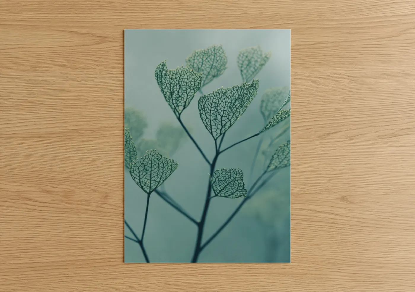 Delicate Seed Pods Botanical Fine Wall Art