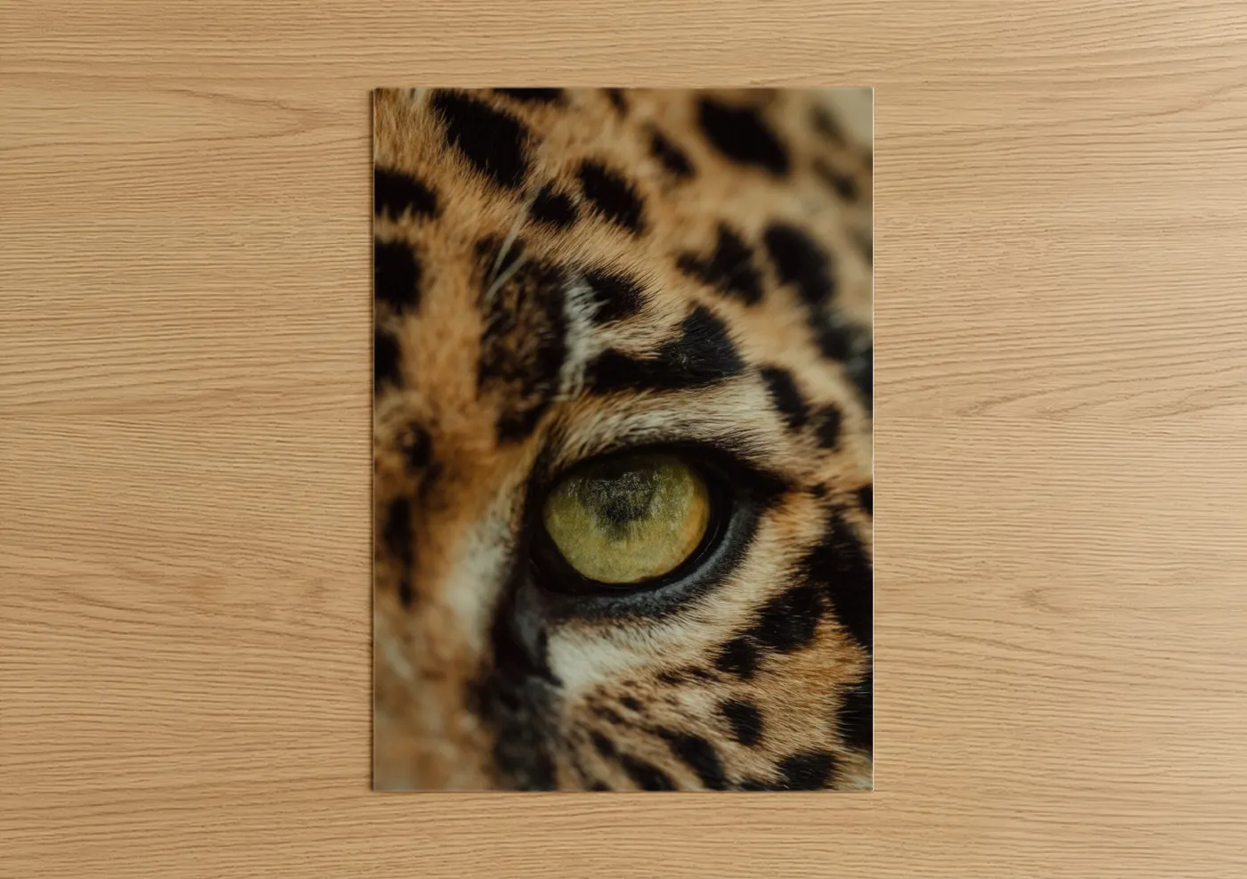 Golden-Eyed Jaguar Close-Up Wildlife Wall Art