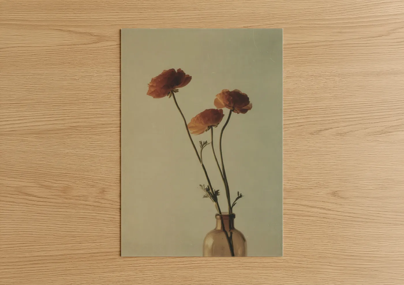Russet Ranunculus Botanical Print Wall Art