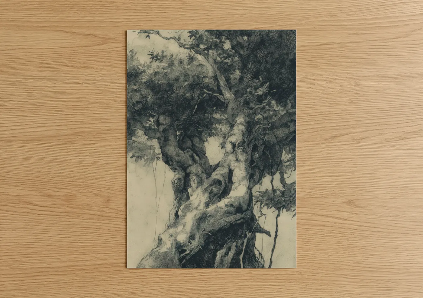 Ancient Tropical Tree Botanical Etching Wall Art