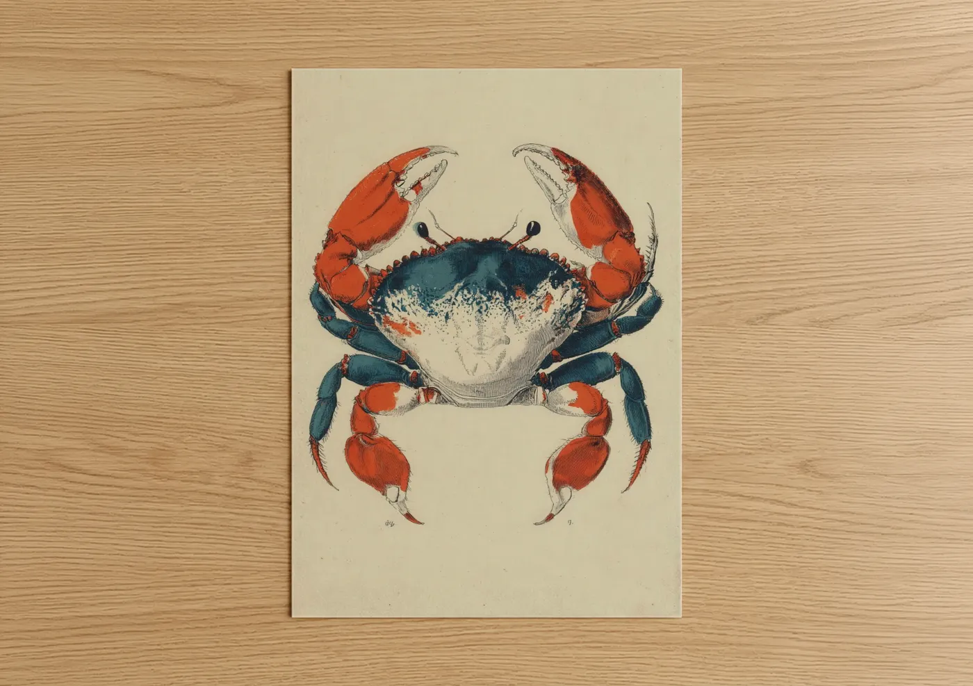 Art print on warm oak wood — red and teal palette — Red Sea Crab poster