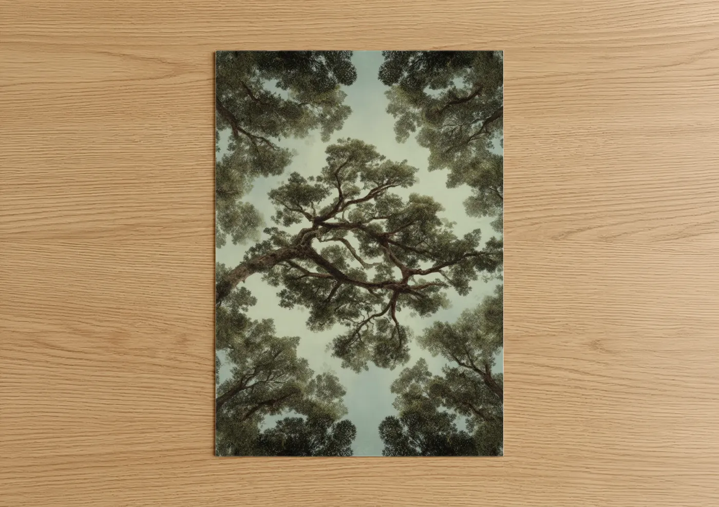 Ancient Kauri Tree Canopy Forest View Wall Art