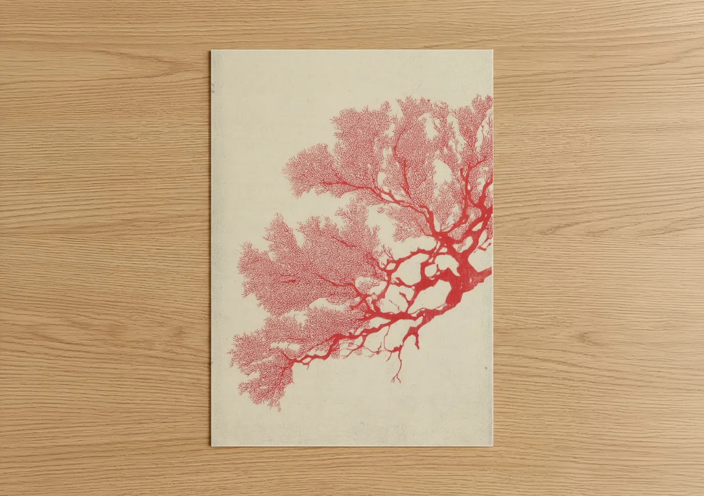 Crimson Coral Branch Sea Life Wall Art