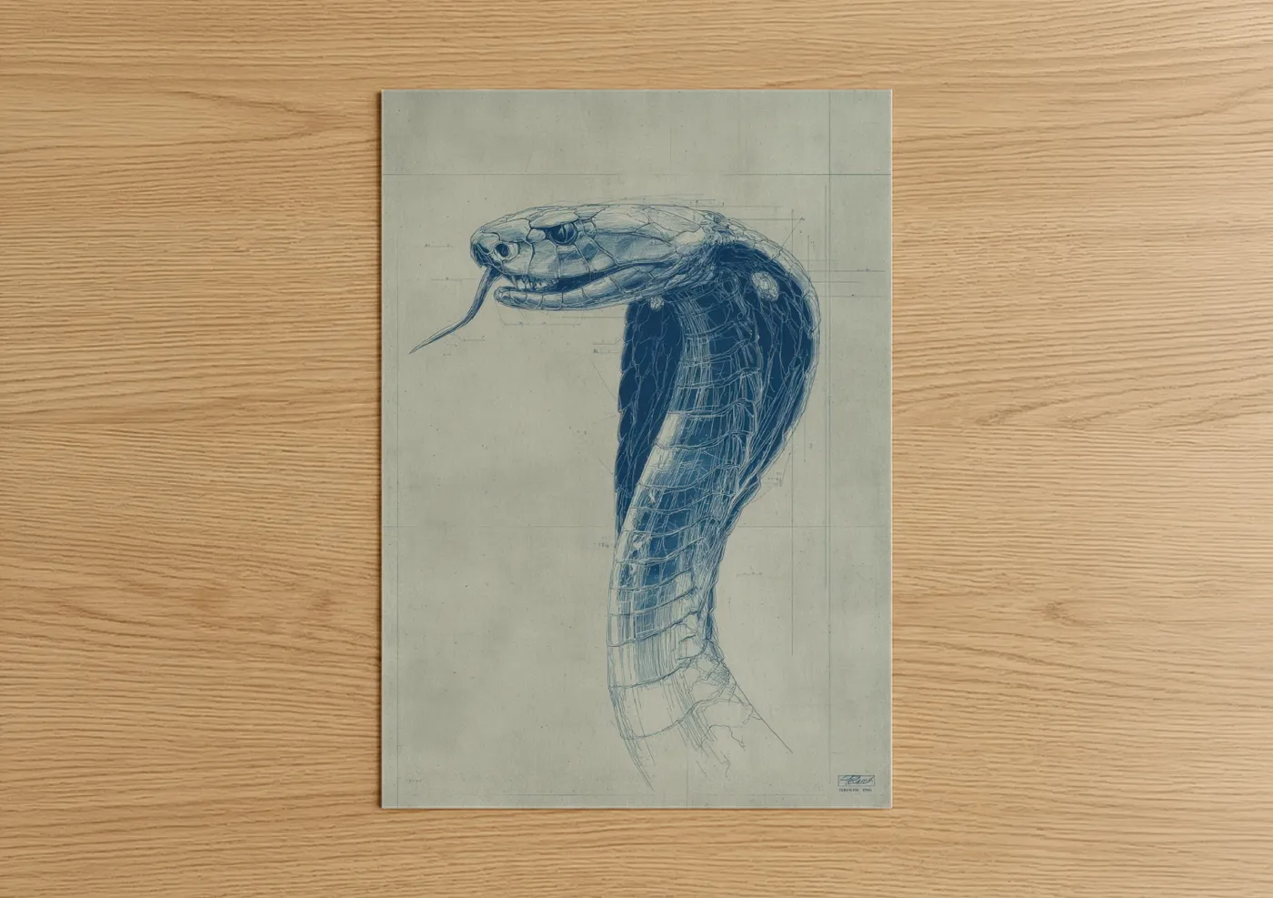 Art print on warm oak wood — blue and beige palette — Cobra Blueprint Study poster