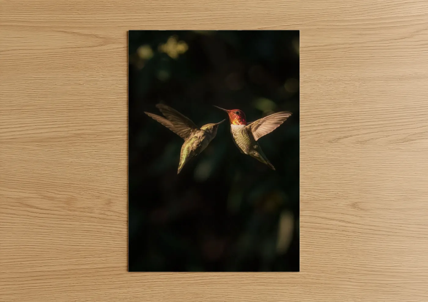 Crimson Hummingbird Pair Wildlife Photography Wall Art