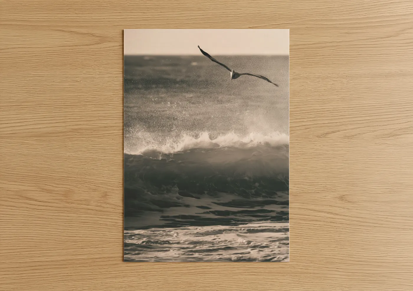 Coastal Pelican Ocean Wave Photography Wall Art