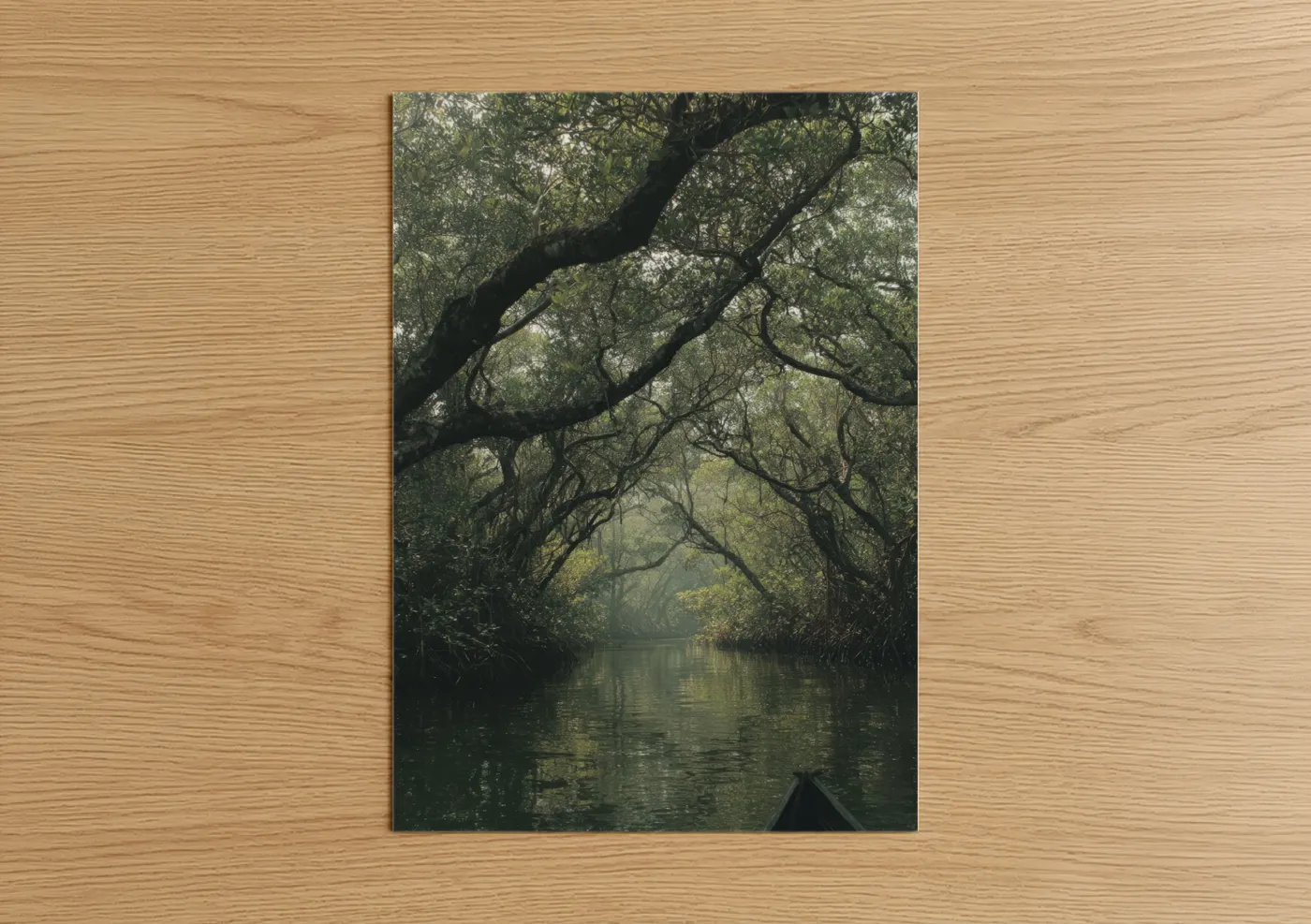 Serene Mangrove Forest Waterway Wall Art