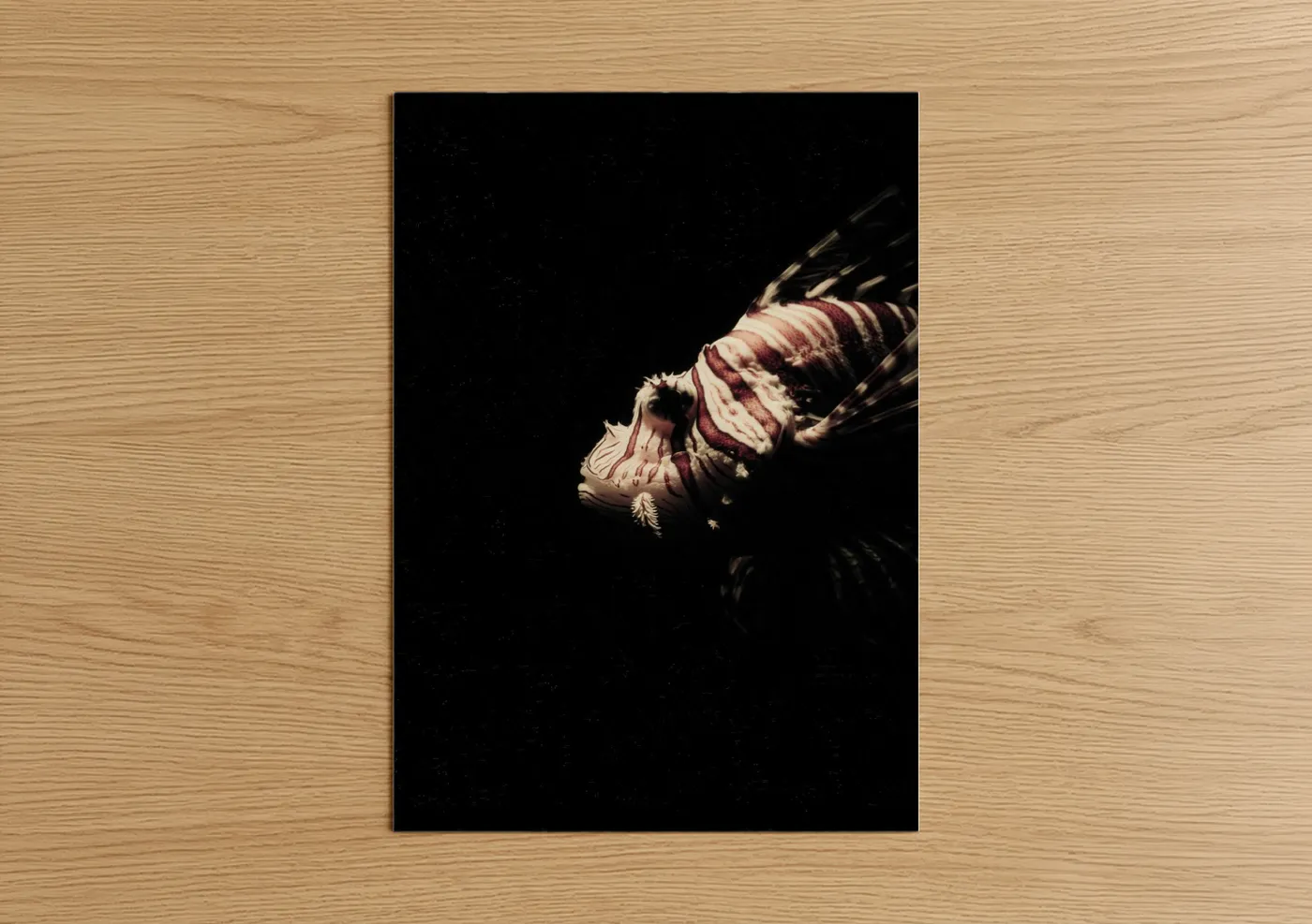 Crimson Lionfish Dark Water Wall Art