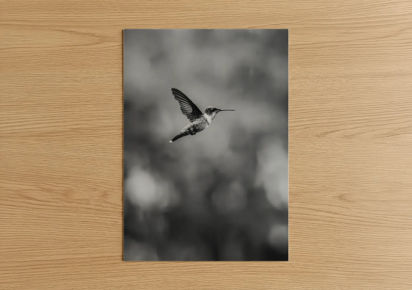 Hovering Hummingbird Black White Wall Art