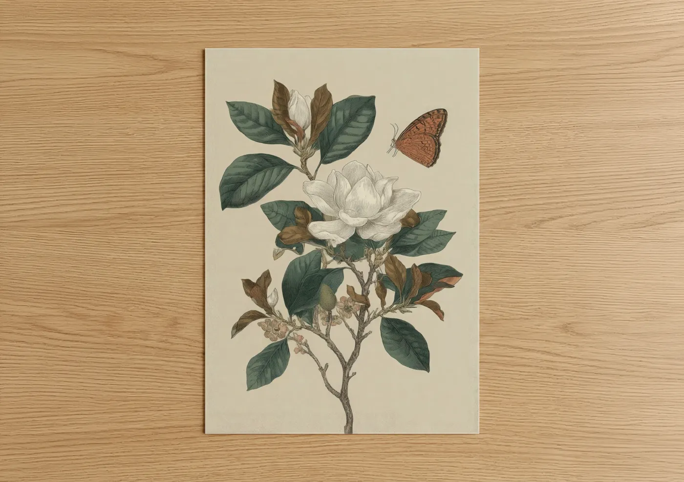 White Magnolia Botanical Illustration Art Wall Art