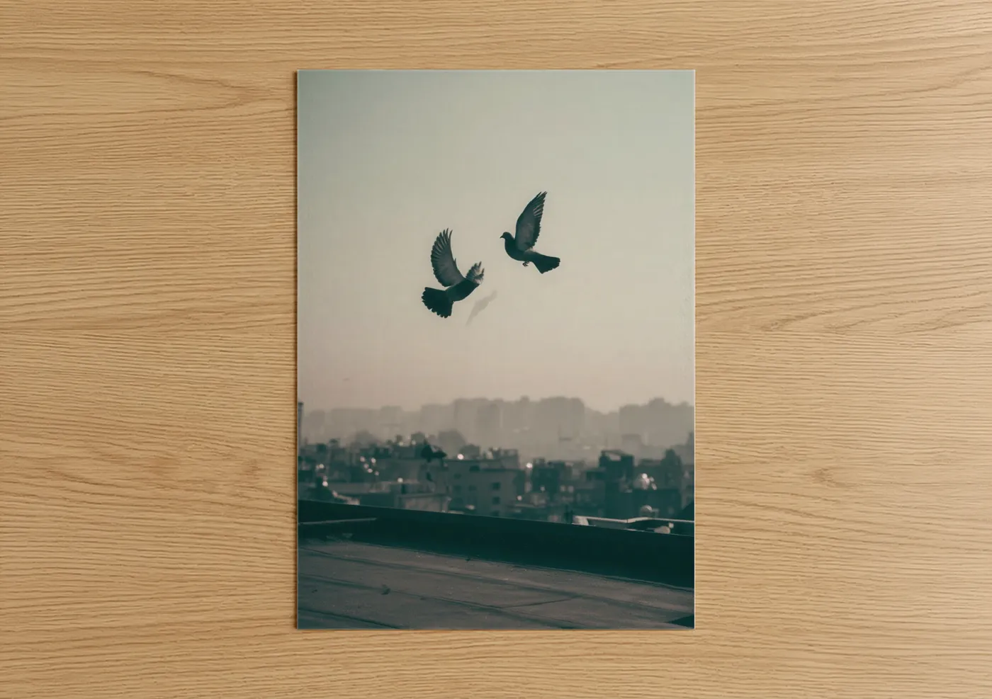 Pigeon art print on warm oak wood — gray and teal palette — Urban Doves poster