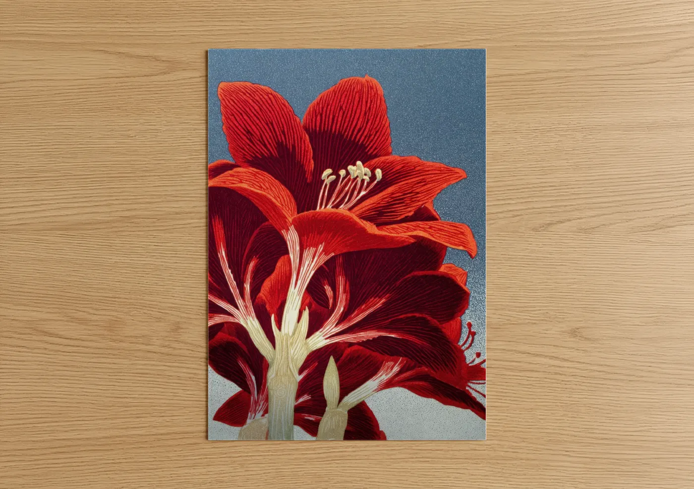 Crimson Amarillys Botanical Illustration Wall Art