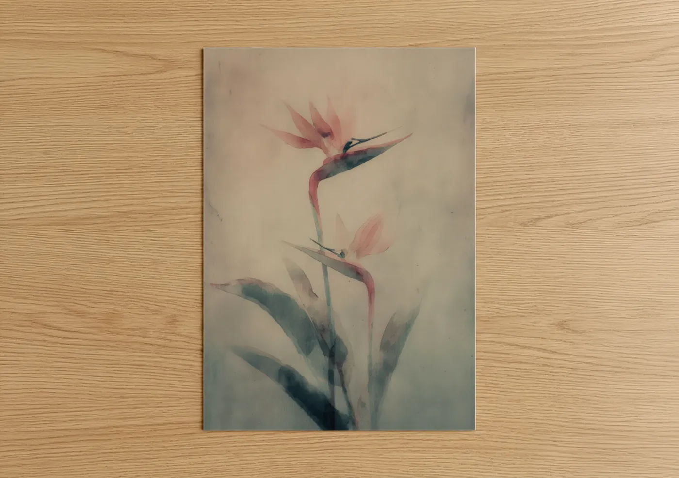 Graceful Bird of Paradise Watercolor Wall Art