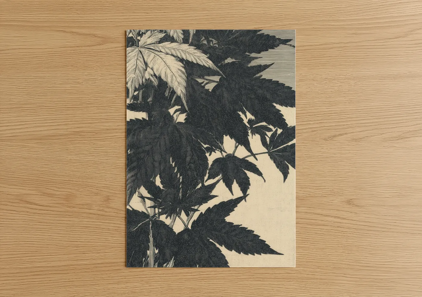 Marijuana Leaf Shadow Botanical Art Wall Art