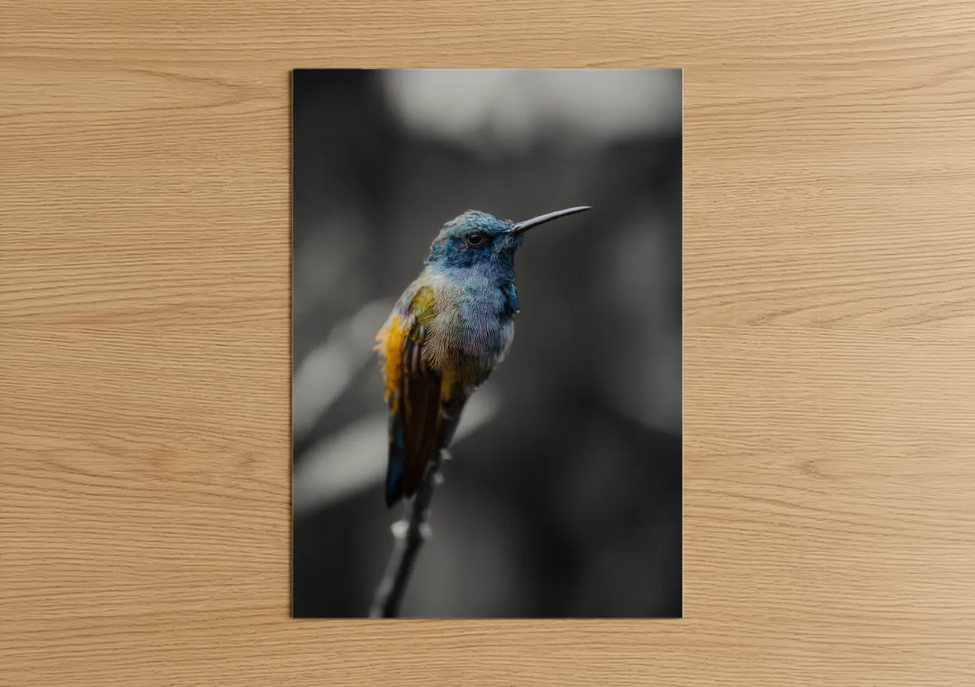 Art print on warm oak wood — blue and gold palette — Blue Hummingbird Portrait poster