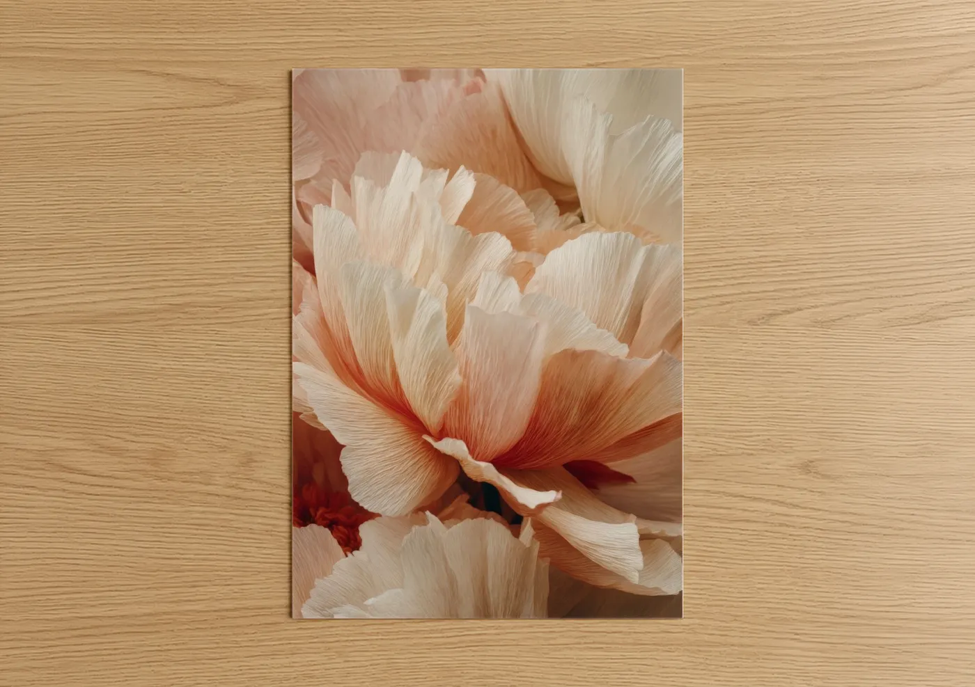 Cream Ranunculus Floral Art Print Wall Art