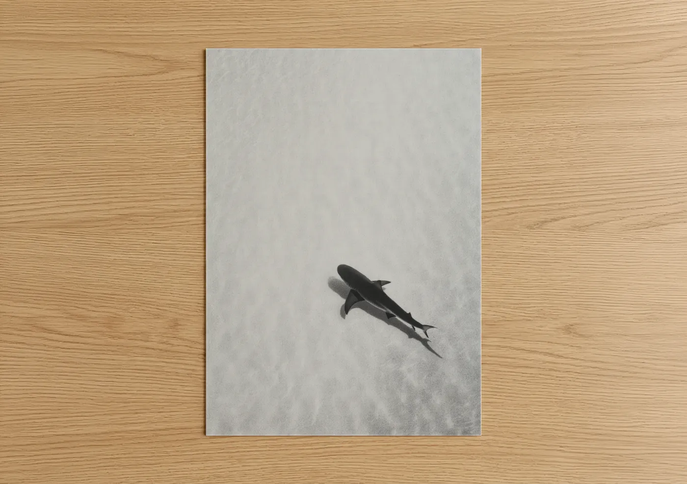 Sand Tiger Shark Black and White Wall Art