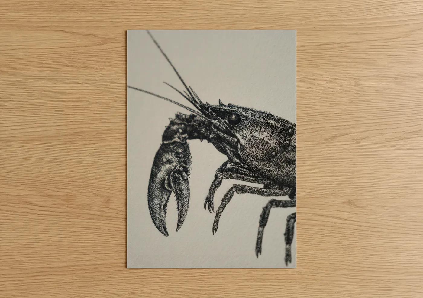 Detailed Crayfish Stippled Black Drawing Wall Art
