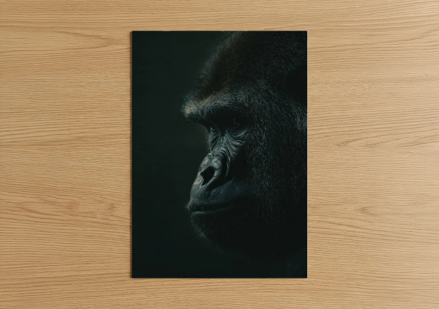 Dark Gorilla Portrait Wildlife Photography Wall Art