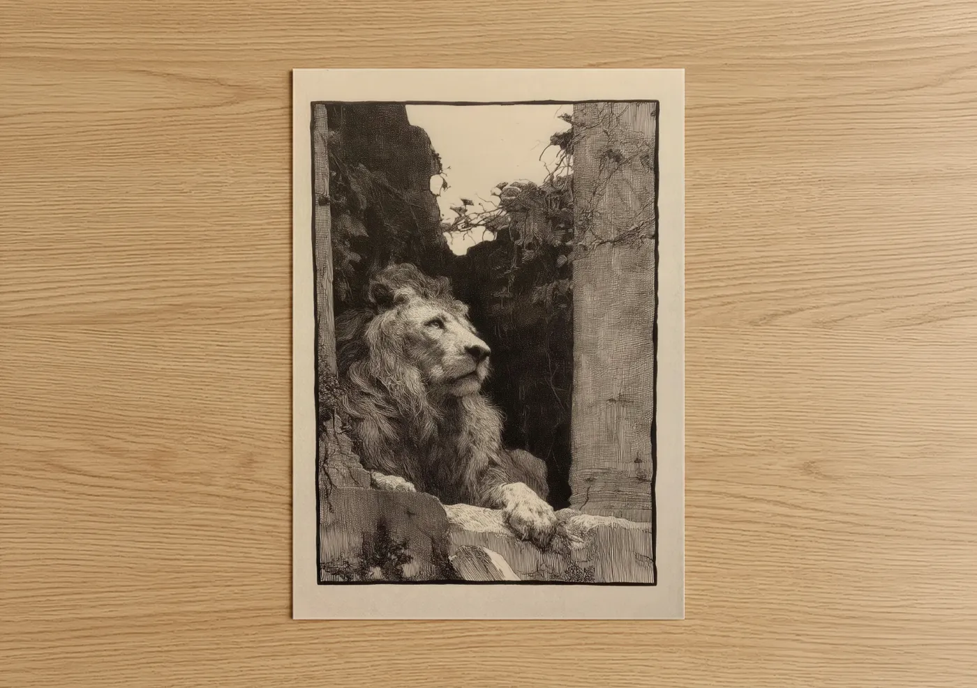 Art print on warm oak wood — black and white and cream palette — Contemplative Lion poster