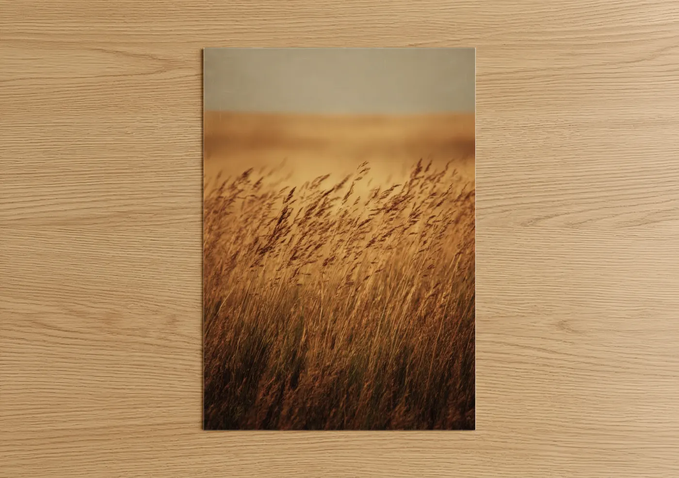 Art print on warm oak wood — gold and beige palette — Golden Grain Field poster