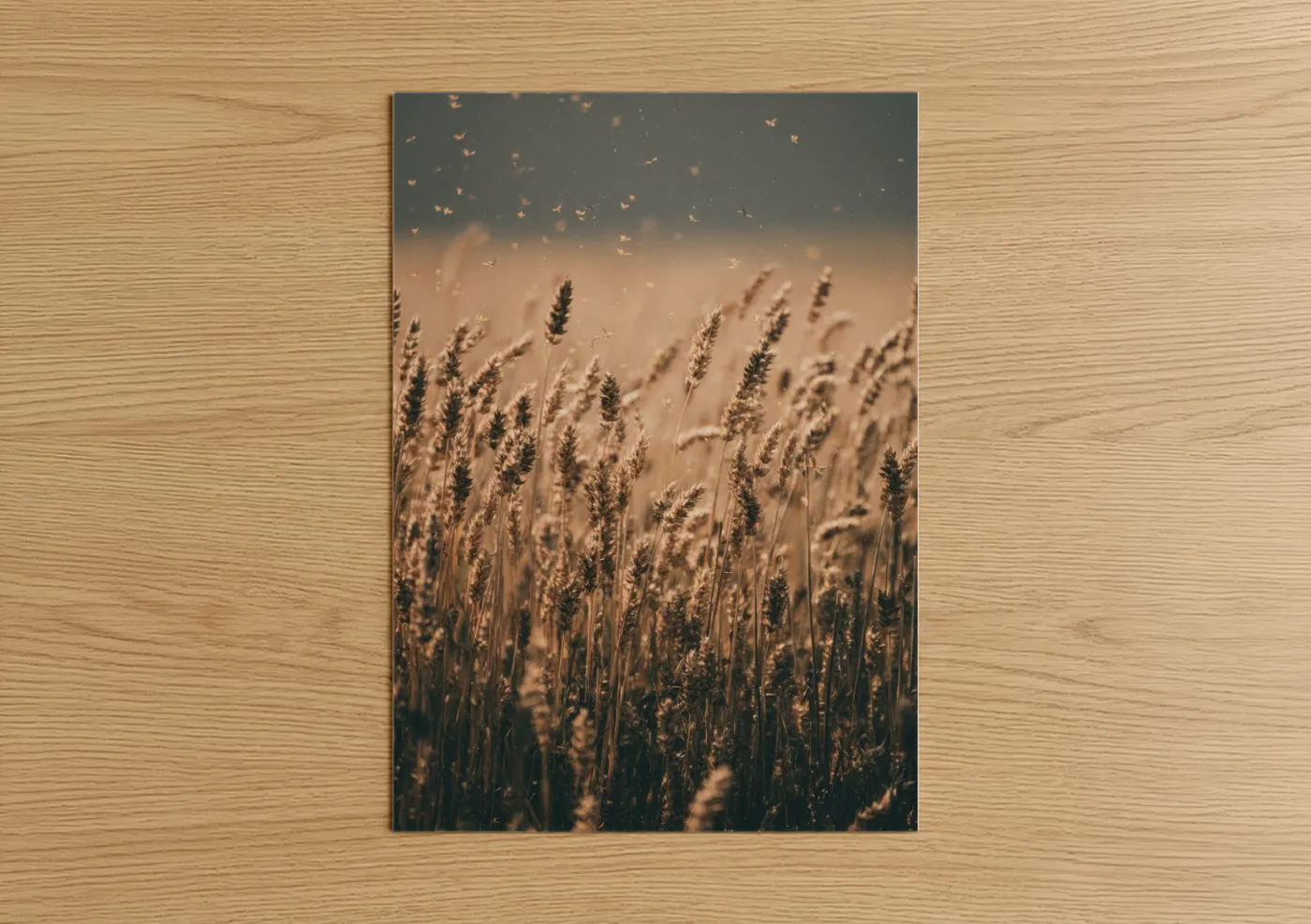 Art print on warm oak wood — gold and champagne gold palette — Golden Grain Field poster