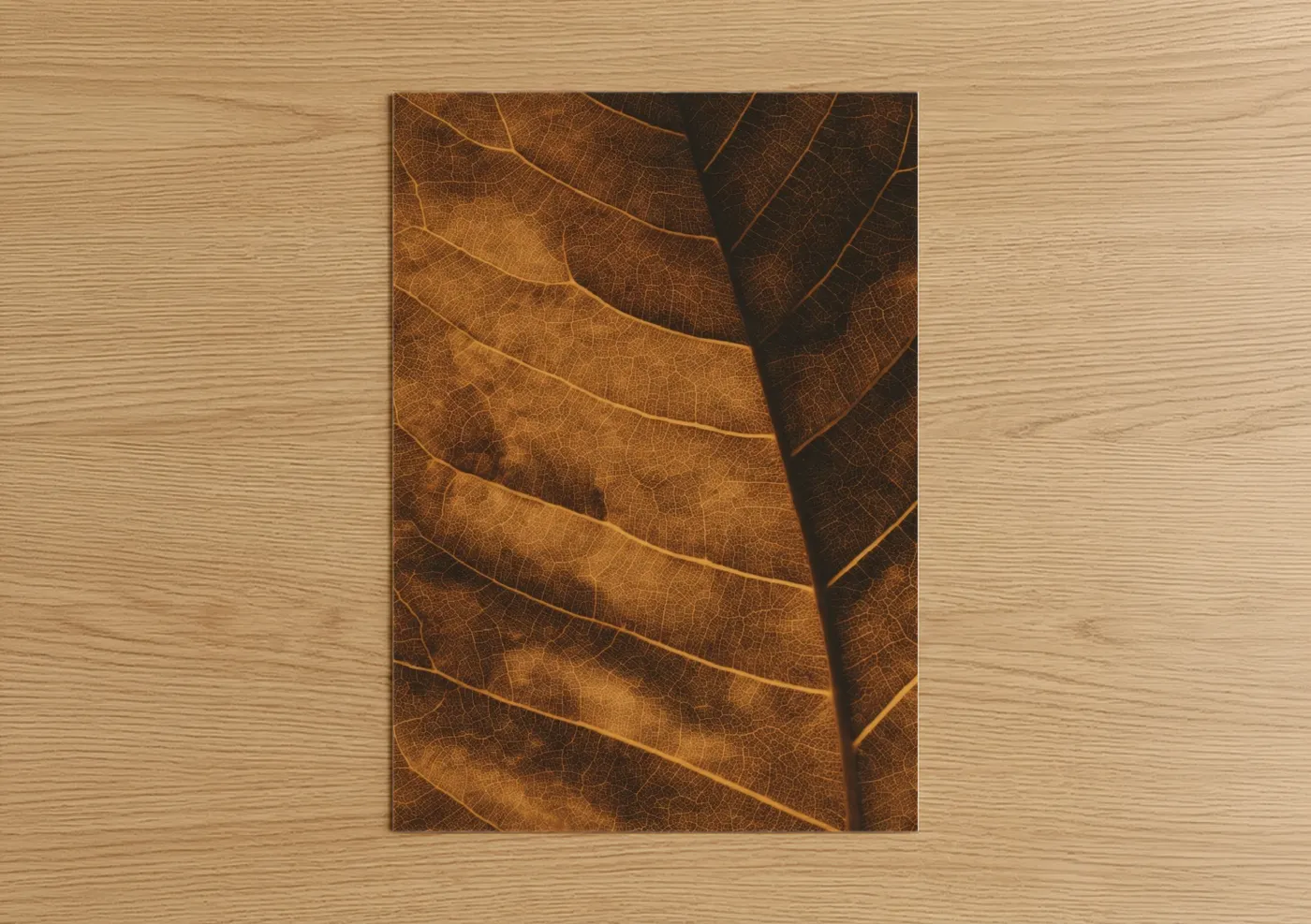 Autumn Cigar Leaf Macro Photography Wall Art