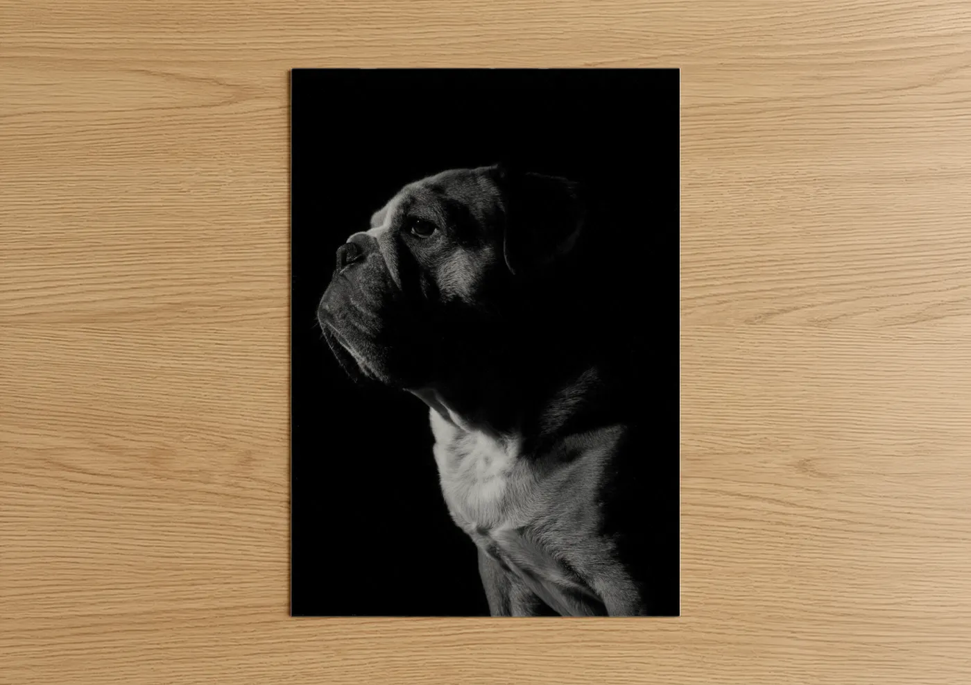 Art print on warm oak wood — black and white palette — Contemplative Bulldog poster