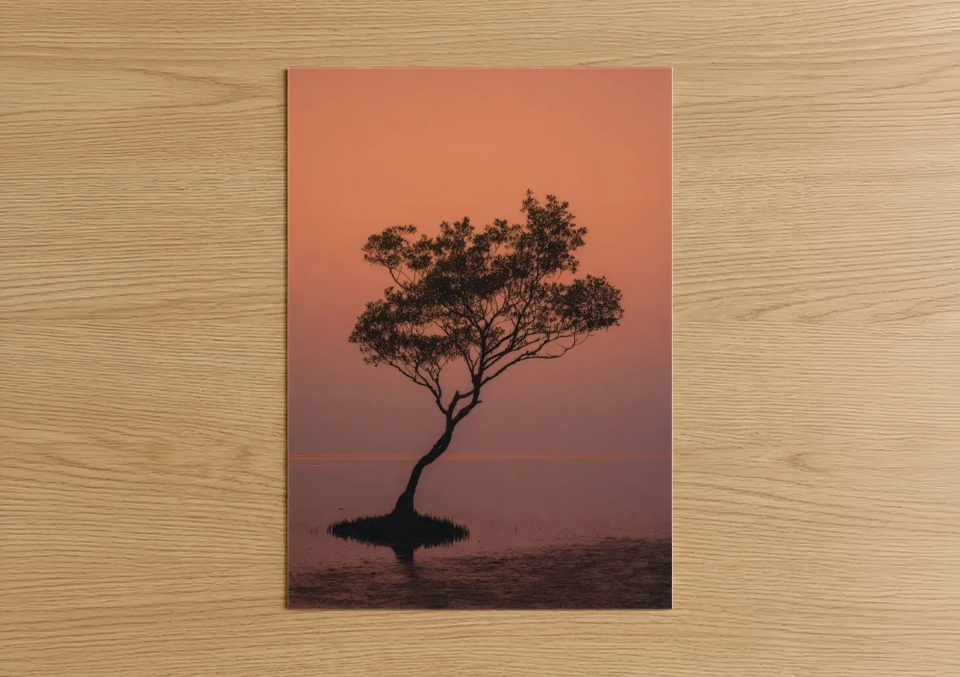 Solitary Mangrove Sunset Silhouette Wall Art