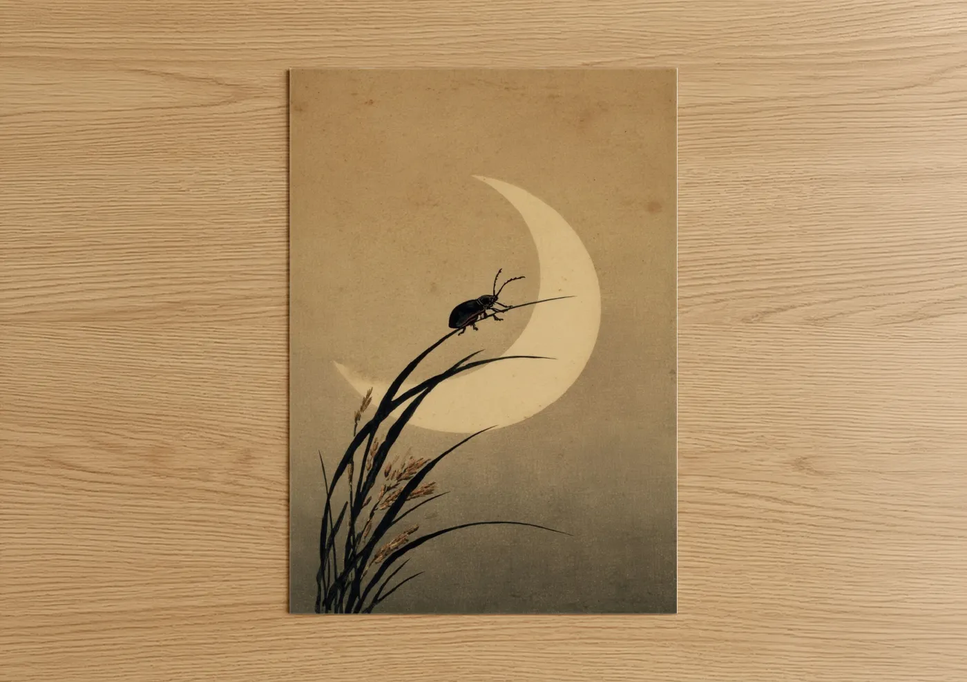 Moonlit Beetle on Grass Nature Illustration Wall Art