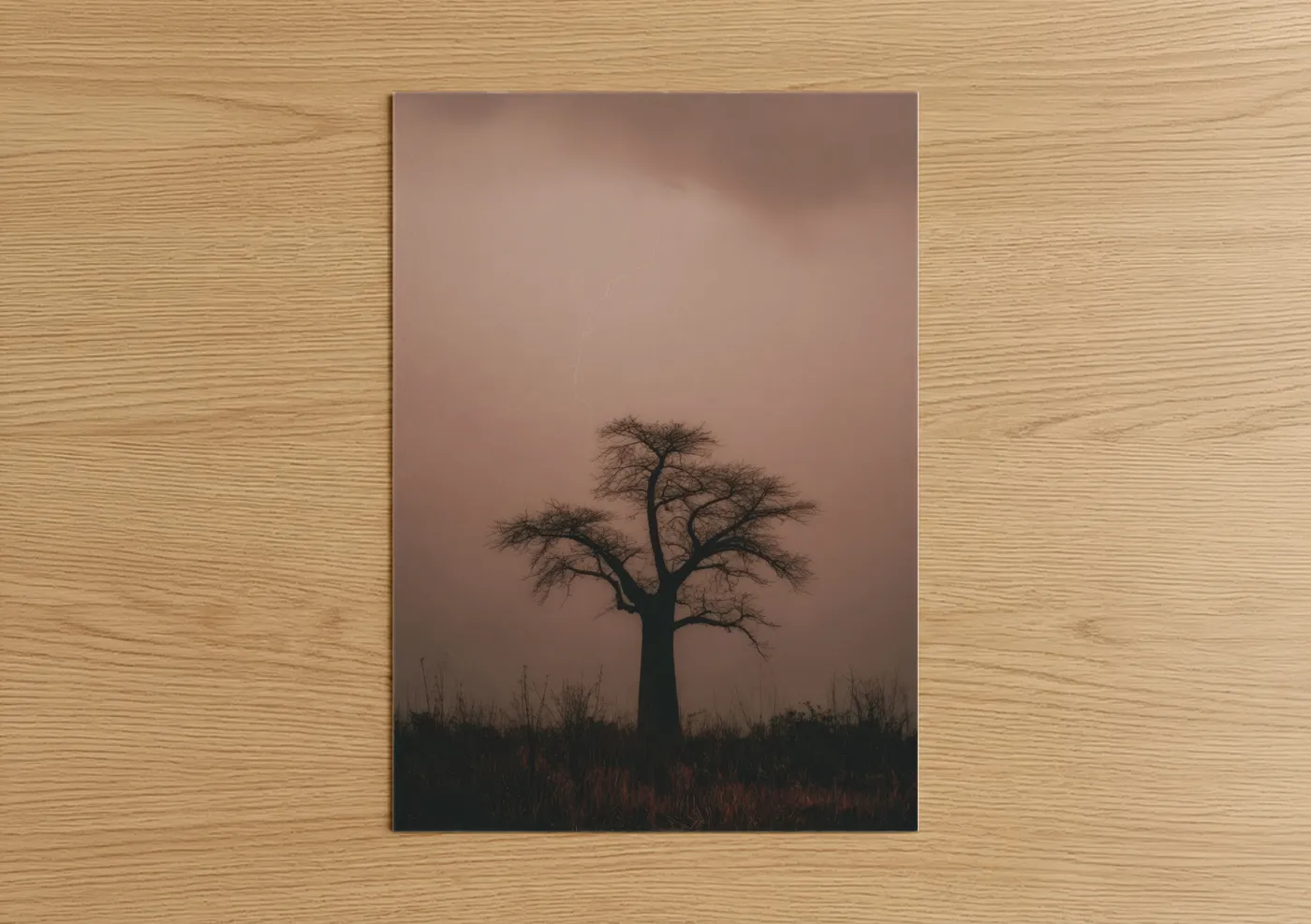 Baobab tree art print on warm oak wood — brown palette — Solitary Baobab poster