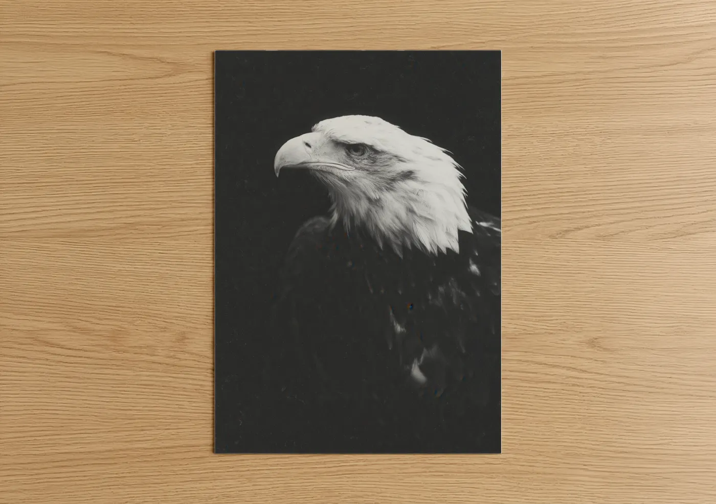 Majestic Eagle Profile Black and White Wall Art