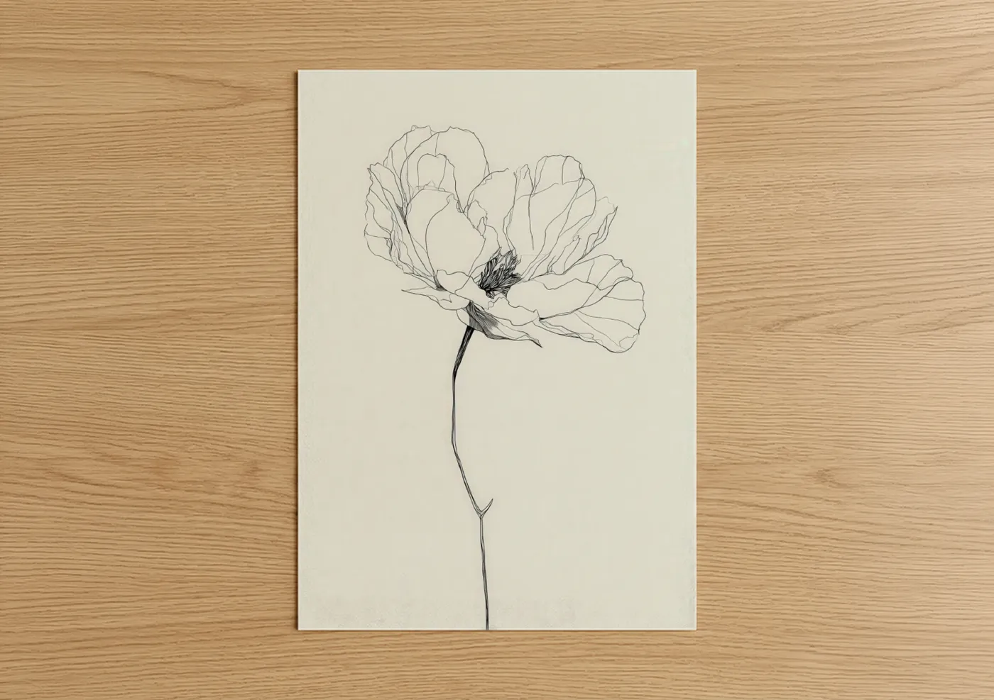 Ethereal Peony Line Drawing Wall Art