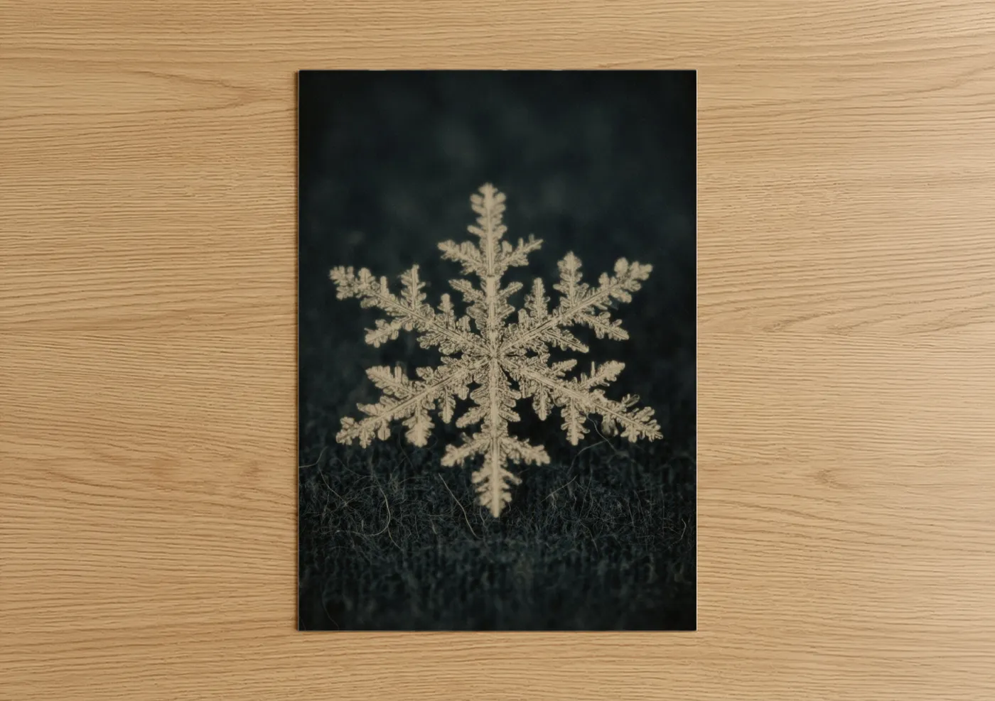 Winter art print on warm oak wood — black and white palette — Frosted Snowflake poster