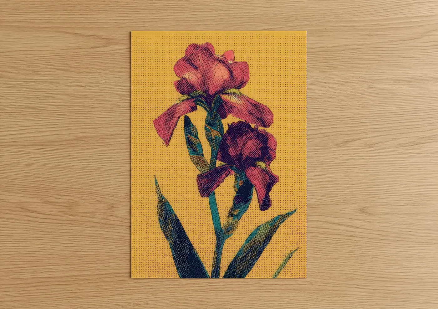 Magenta Iris Blooms Pop Wall Art