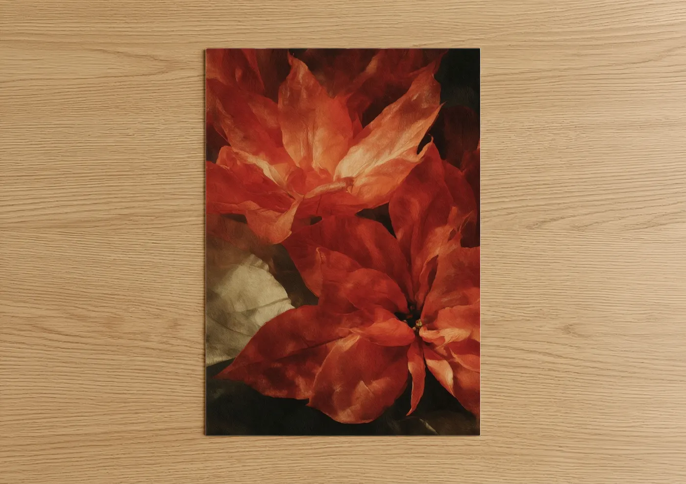 Crimson Poinsettia Blooms Fine Wall Art