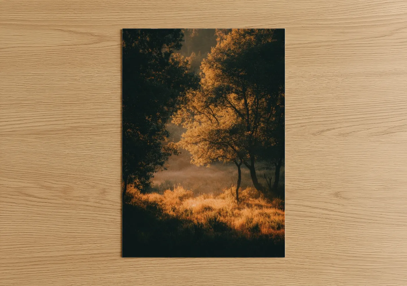 Golden Oak Forest Autumn Light Wall Art