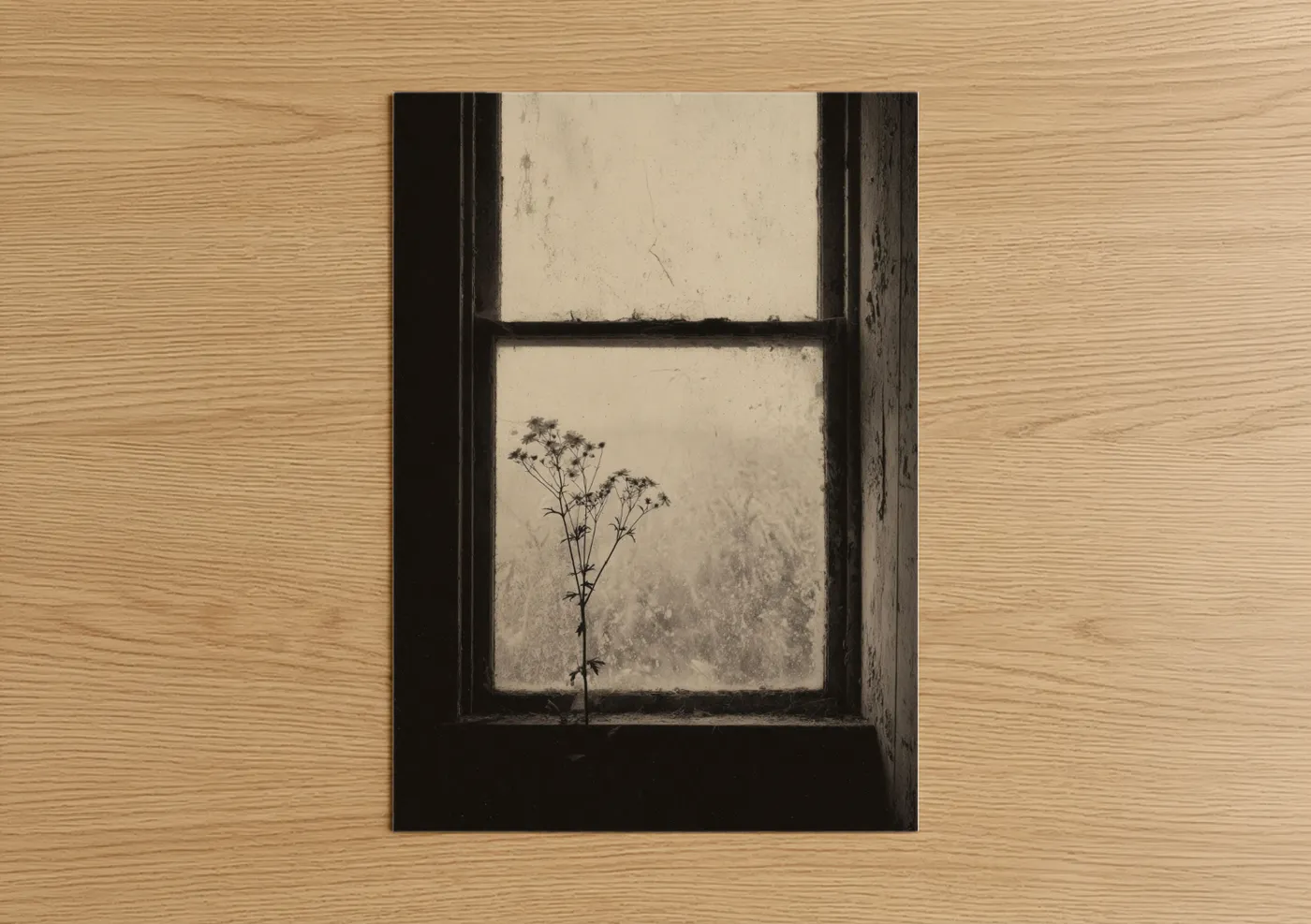 Weathered Window with Delicate Dried Plant Wall Art