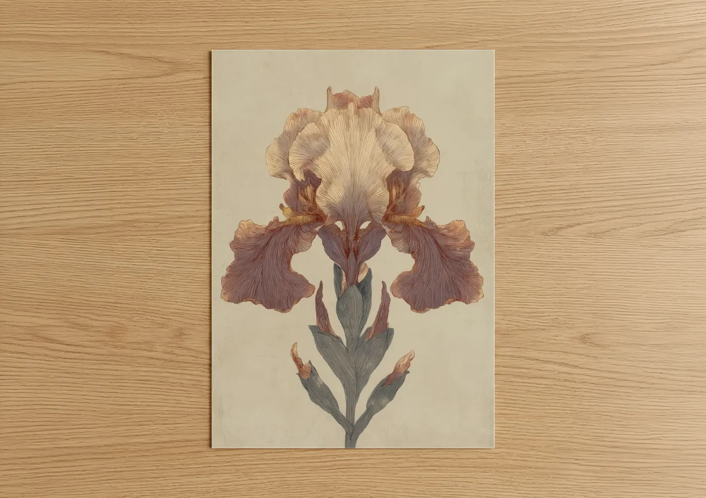 Art print on warm oak wood — cream and maroon palette — Burgundy Iris Study poster