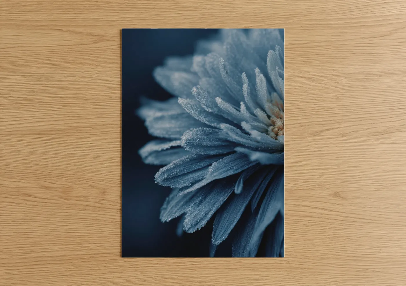 Art print on warm oak wood — blue and white and dove gray palette — Frosted Daisy poster