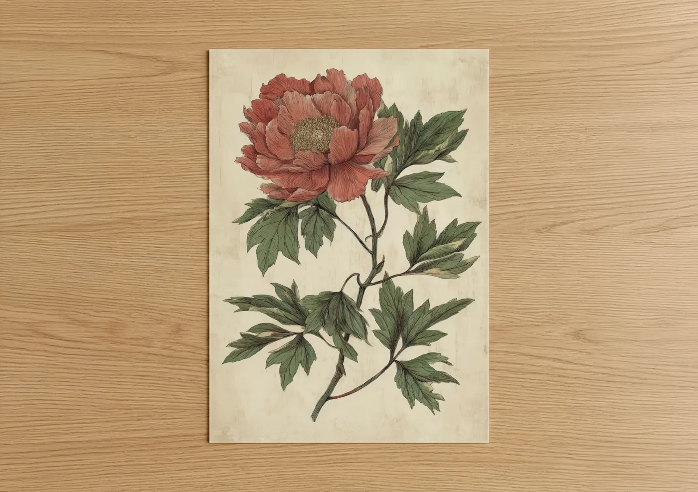 Coral Peony Bloom Botanical Wall Art