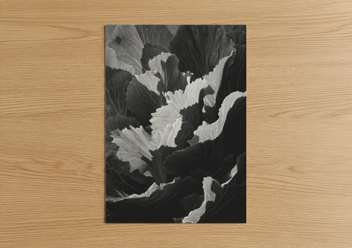 Art print on warm oak wood — black and white palette — Textured Leaf Study poster