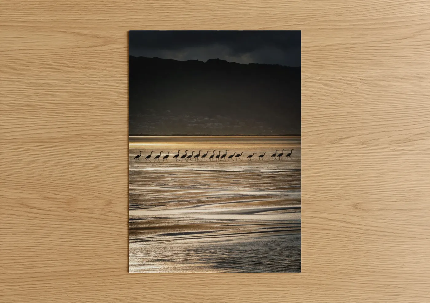 Heron Flock Beach Silhouette Photography Wall Art